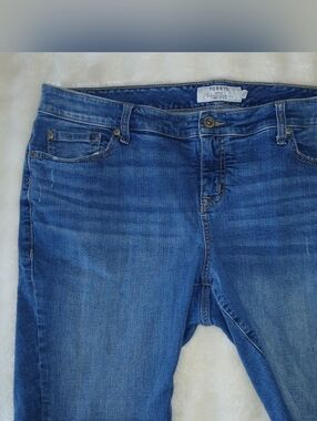 Torrid Women's Skinny Blue Stretch Jean Shorts